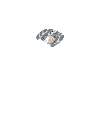 what does the sloth say model negru pe tricou