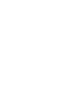 Crazy Cat Ladies are born in December model negru pe tricou
