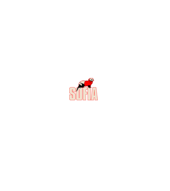 sofia la casa de papel model negru pe tricou