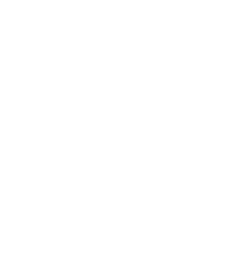 România Dracula 2 model negru pe tricou