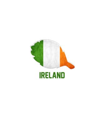 Steag irlandez model alb pe tricou