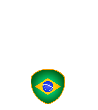 BRA-jabulani-flag model negru pe tricou