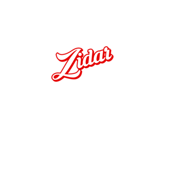 Cel mai bun ZIDAR din lume model negru pe tricou