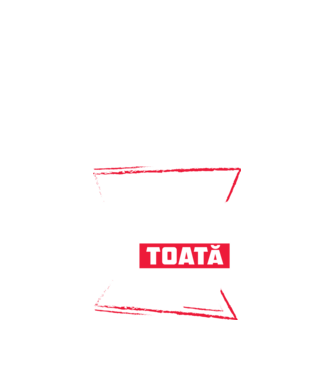 Toată luna DECEMBRIE model negru pe tricou