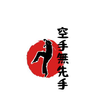 Larusso training japan model alb pe tricou