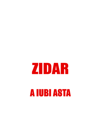 Sunt suficient de priceput pentru a fi ZIDAR și suficient de nebun pentru a iubi asta model negru pe tricou