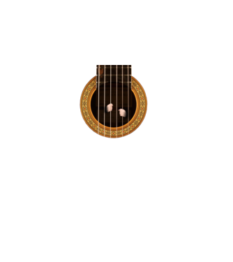 Guitar prison model negru pe tricou
