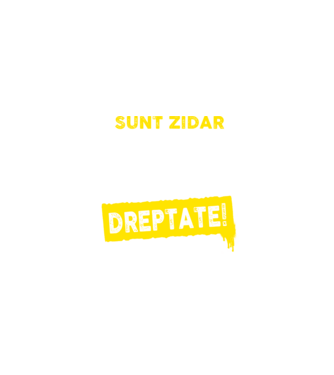 Sunt zidar, pentru a economisi timp, să reținem că am întotdeauna dreptate! model turcoaz pe tricou