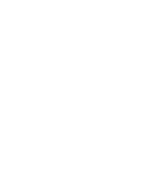 Freedom model gri pe tricou