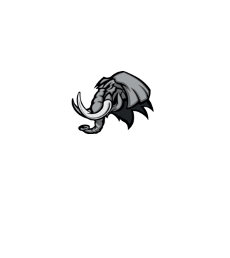 Elephant model gri pe tricou