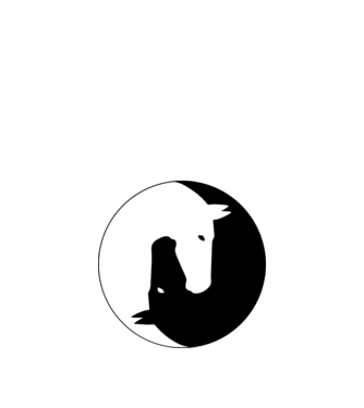 Lovas ying-yang model alb pe tricou