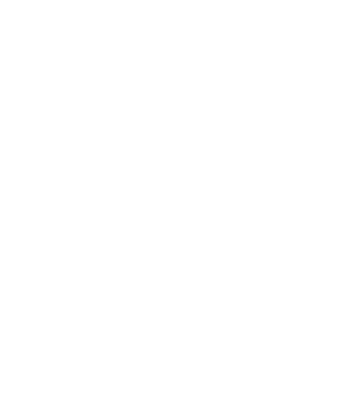 România made in model negru pe tricou