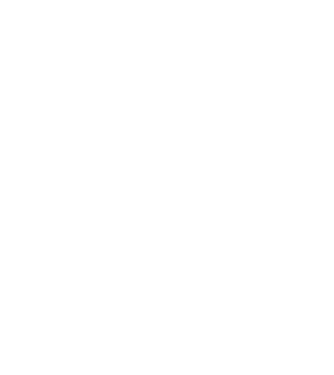 Judo model alb pe tricou