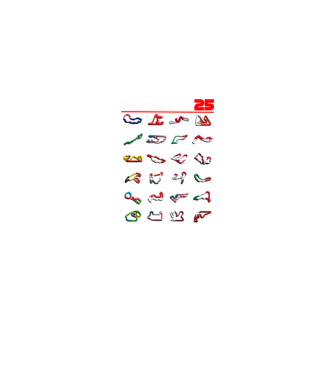 F1 calendar 2025 Negru model negru pe tricou