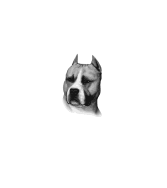 Staffordshire Terrier model alb pe tricou