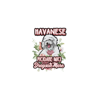 havanese : picioare mici dragoste mare model alb pe tricou