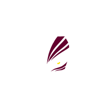 Ichigo Hollow Mask model negru pe tricou