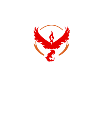 Valor team logo model alb pe tricou