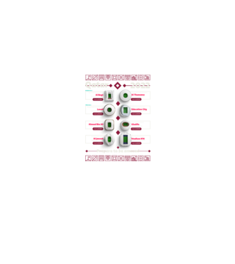 Qatar 2022 Stadiums model negru pe tricou