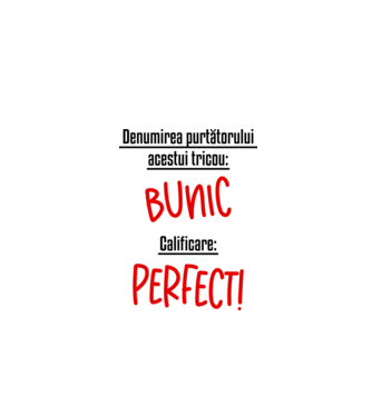 Denumirea purtătorului acestui tricou: bunic! Calificare: Perfect! model alb pe tricou