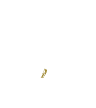 King in the north 2c model albastru închis pe tricou