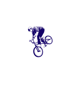 BMX stunt model gri pe tricou
