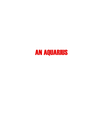 Piss of an AQUARIUS model negru pe tricou