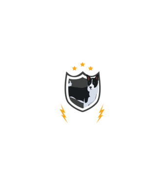 serviciu de securitate - securitate - persistență - 24 de ore pe zi model negru pe tricou