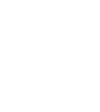 All men are created equal but only the best are born in november model negru pe tricou