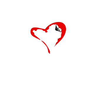 heartclimb model alb pe tricou