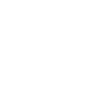 demodog logo model alb pe tricou