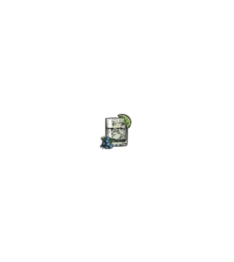 Let the fun be gin model negru pe tricou