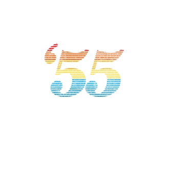 Retro Birthday 1955 model turcoaz pe tricou
