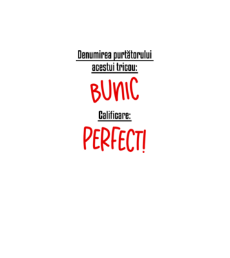 Denumirea purtătorului acestui tricou: bunic! Calificare: Perfect! model galben neon pe tricou