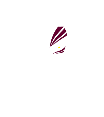 Ichigo Hollow Mask model negru pe tricou