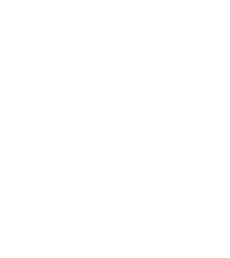 România made in model  pe tricou