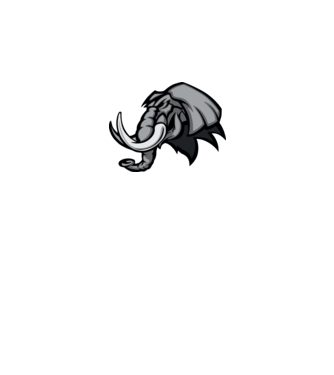 Elephant model galben pe tricou