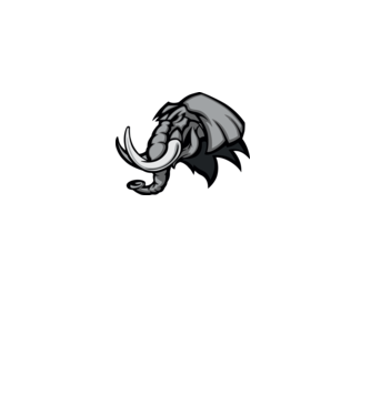 Elephant model gri pe tricou
