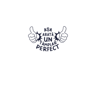 Așa arată un tâmplar perfect model alb pe tricou