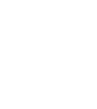 avion model alb pe tricou
