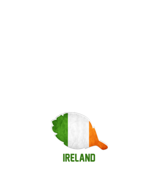 Steag irlandez model alb pe tricou