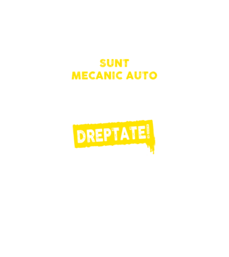 sunt MECANIC AUTO, pentru a economisi timp, să reținem că am întotdeauna dreptate model negru pe tricou