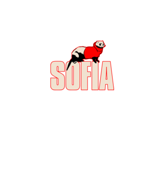 sofia la casa de papel model verde neon pe tricou