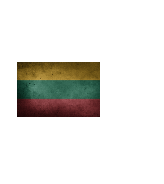 LITHUANIA model alb pe tricou