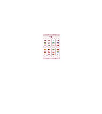 Qatar 2022 teams - groups model negru pe tricou