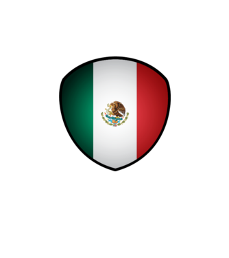 MEX-jabulani-flag model alb pe tricou