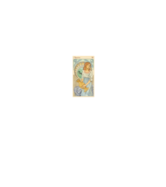 Horoscop Tarot VARSATOR model alb/roșu pe tricou