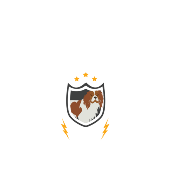 serviciu de securitate - securitate - persistență - 24 de ore pe zi model negru pe tricou