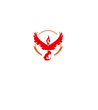 Valor team logo model alb pe tricou