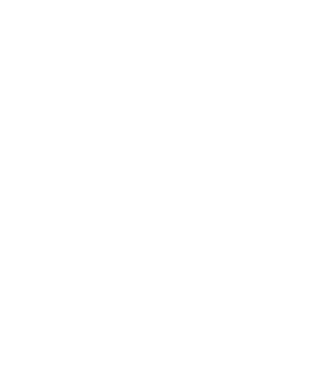 nimeni nu e perfect, dar stăpânii de chivava sunt foarte aproape model negru pe tricou